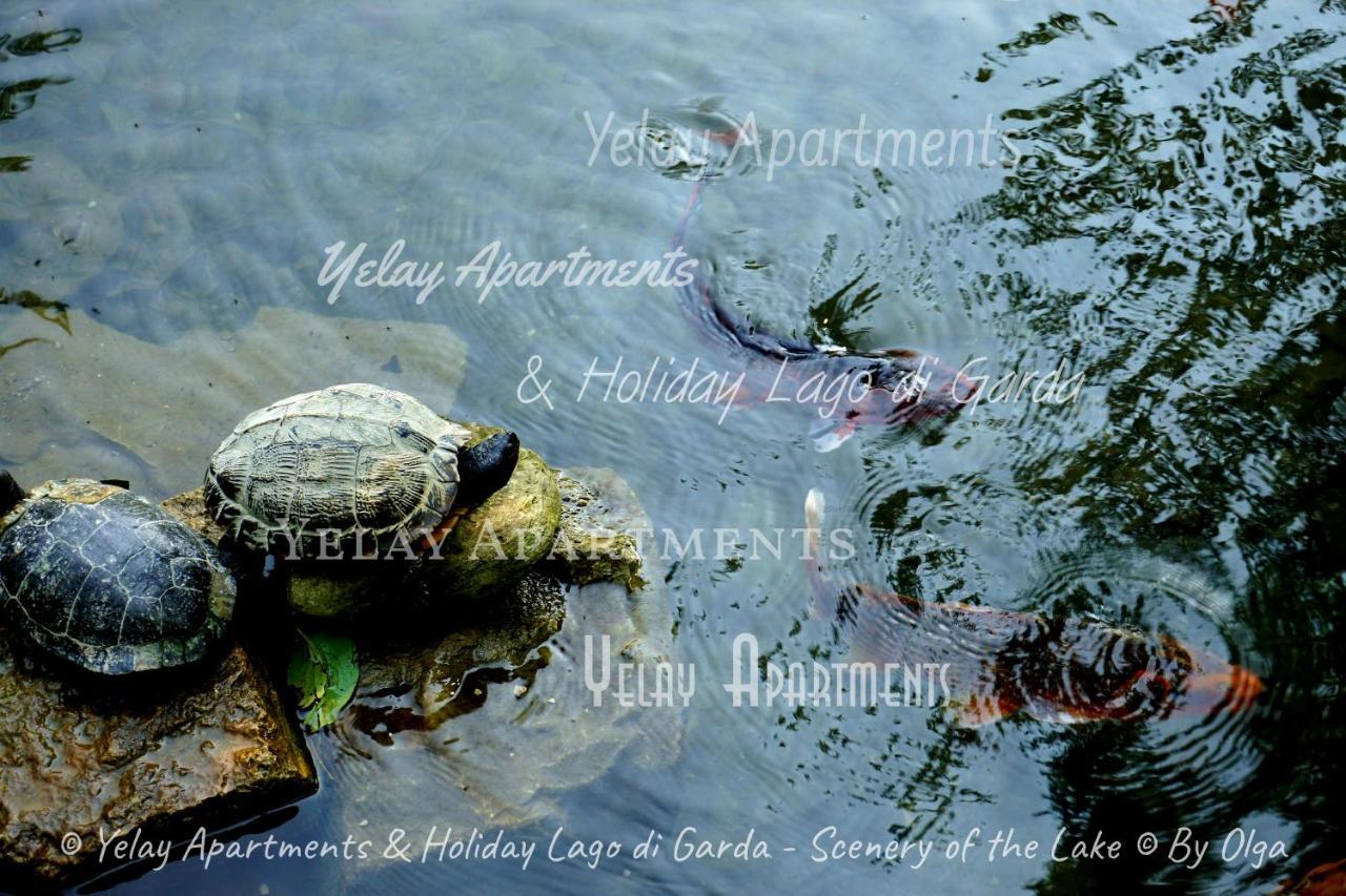 Yelay Apartments & Holiday Lago Di Garda Raffa Dış mekan fotoğraf