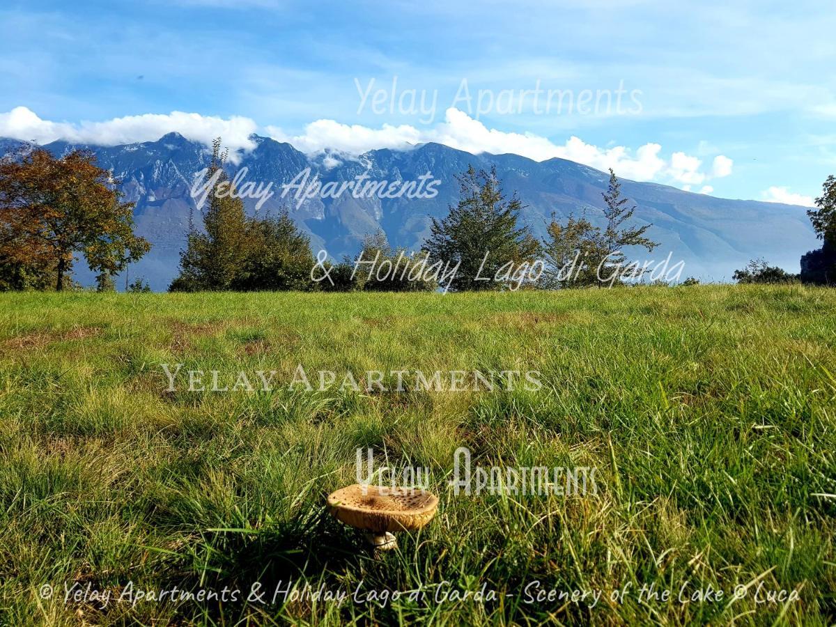 Yelay Apartments & Holiday Lago Di Garda Raffa Dış mekan fotoğraf